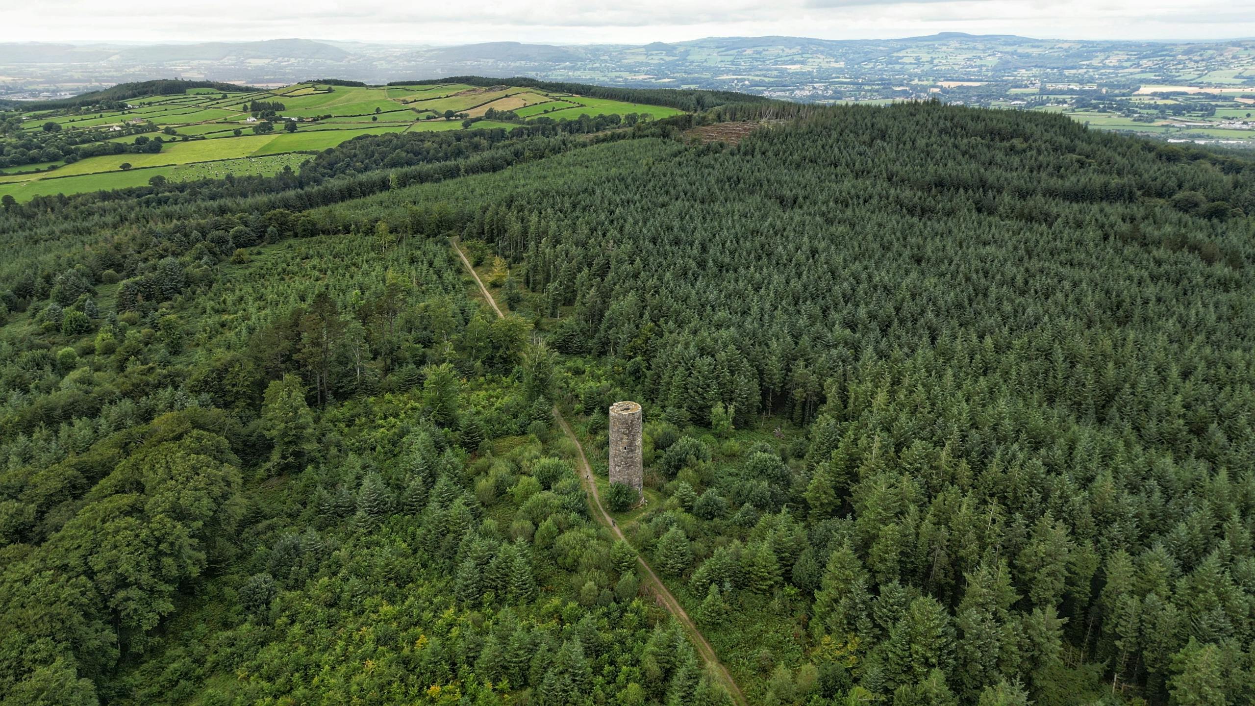 Drone aerial photo of lush green forest and countryside in Ireland with tower.
