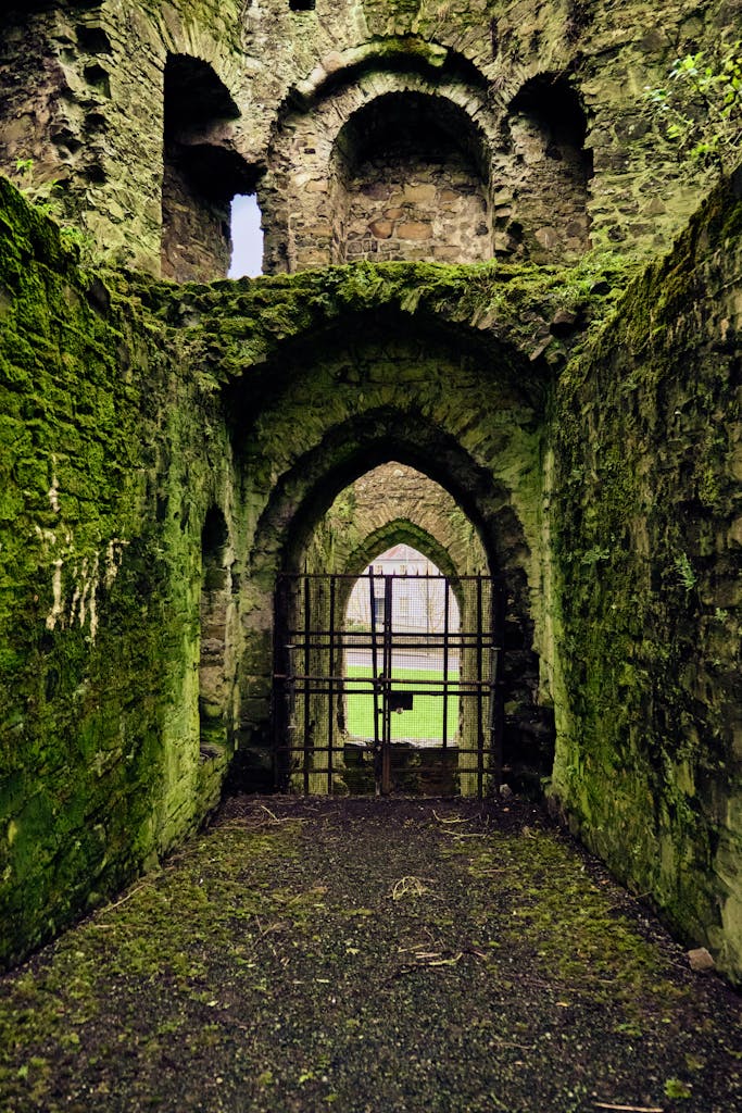 Explore the ancient mossy arches of Trim Castle, showcasing medieval architecture in Ireland.